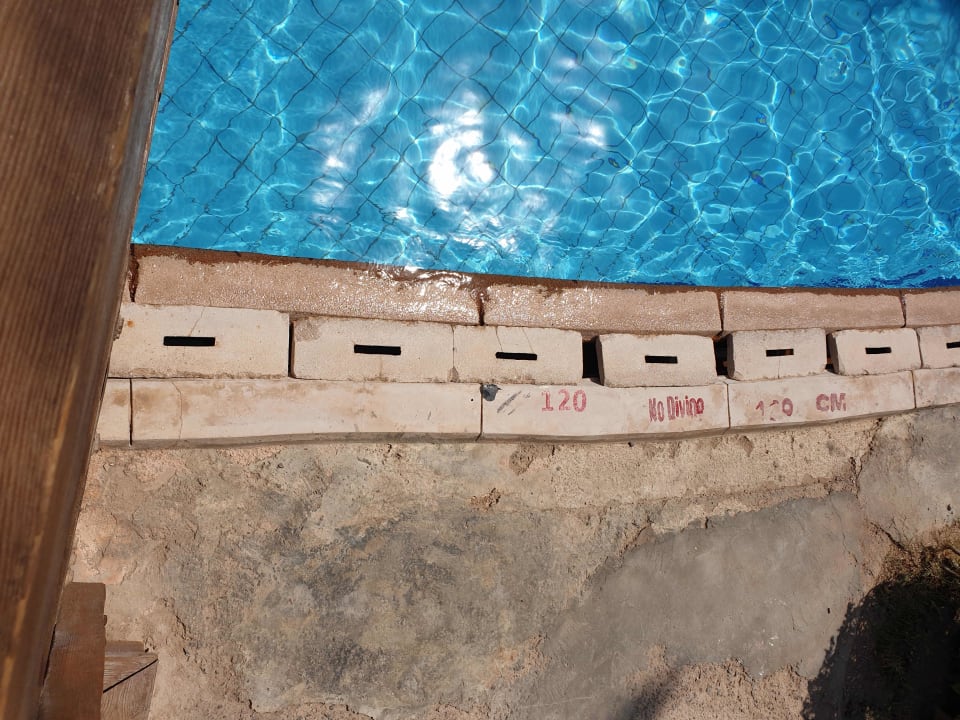 Pool Siva Sharm