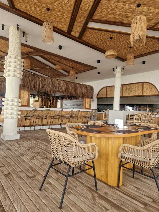 Strand Seashell Vega