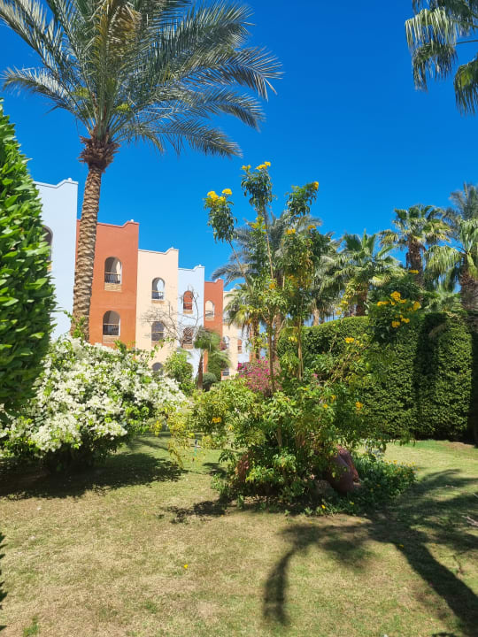 Gartenanlage Arabia Azur Resort