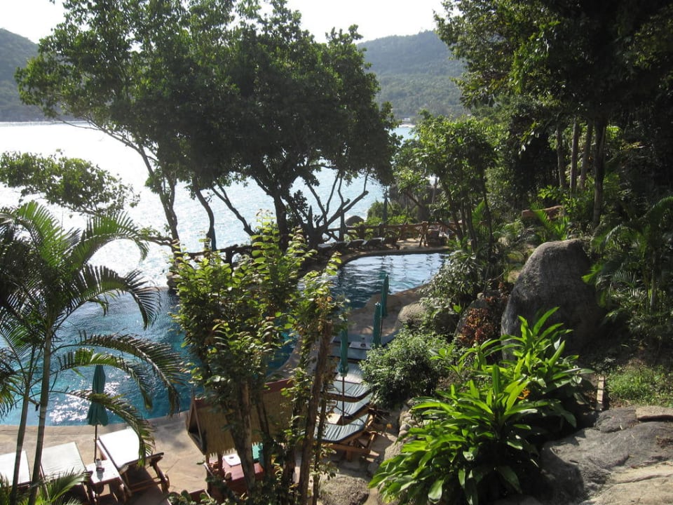 Pool Panviman Resort Koh Phangan