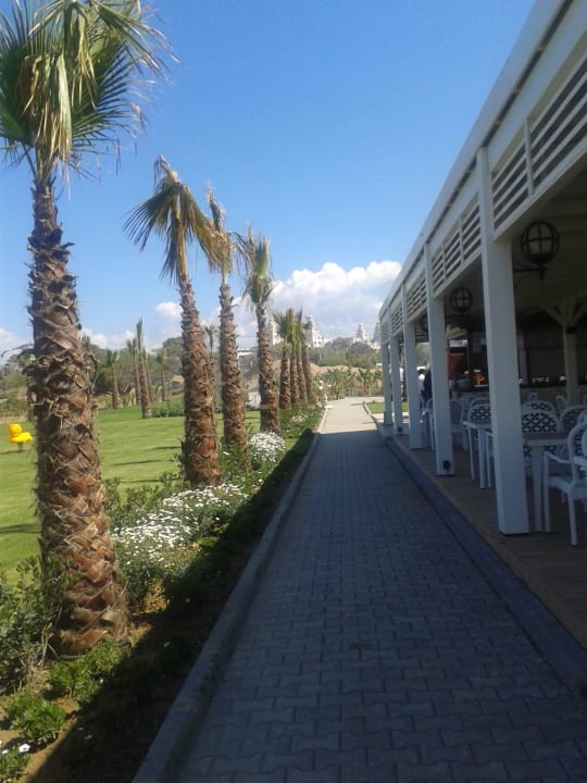 Strandbar J'adore Deluxe Hotel & Spa
