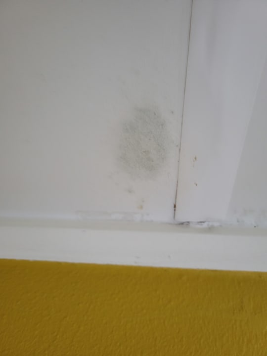 Zimmer Ferienpark Hof van Saksen