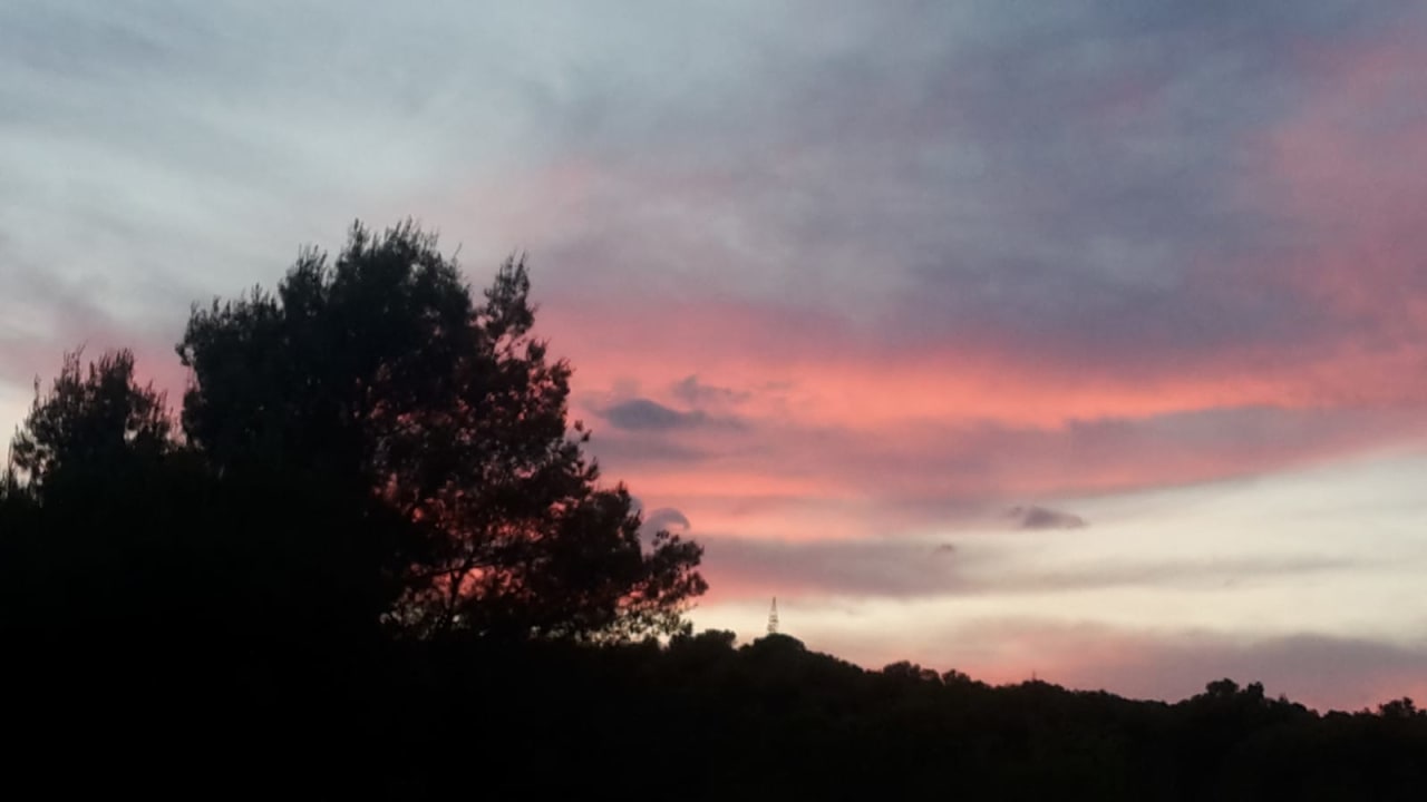 Außenansicht Can Garden Resort