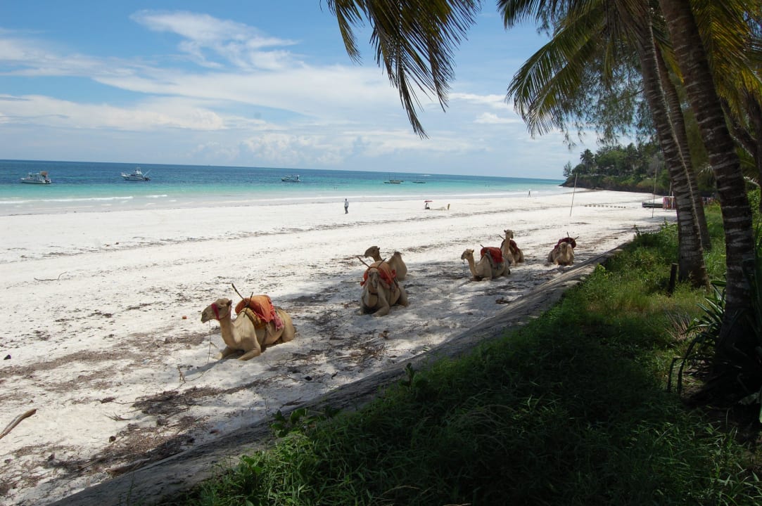 Von der Liegewiese auf den Strand Hotel Papillon Lagoon Reef