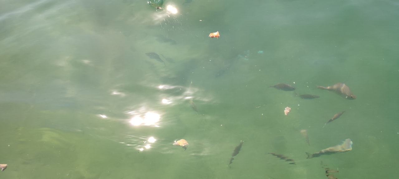 Strand La Blanche Island Bodrum