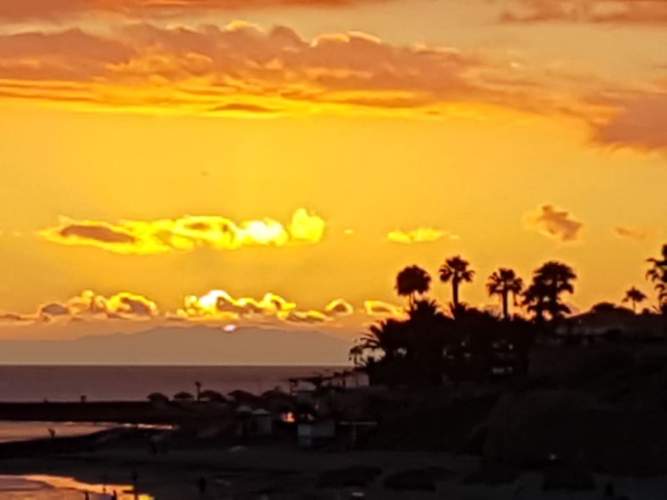 Ausblick Hotel Riu Palace Tenerife