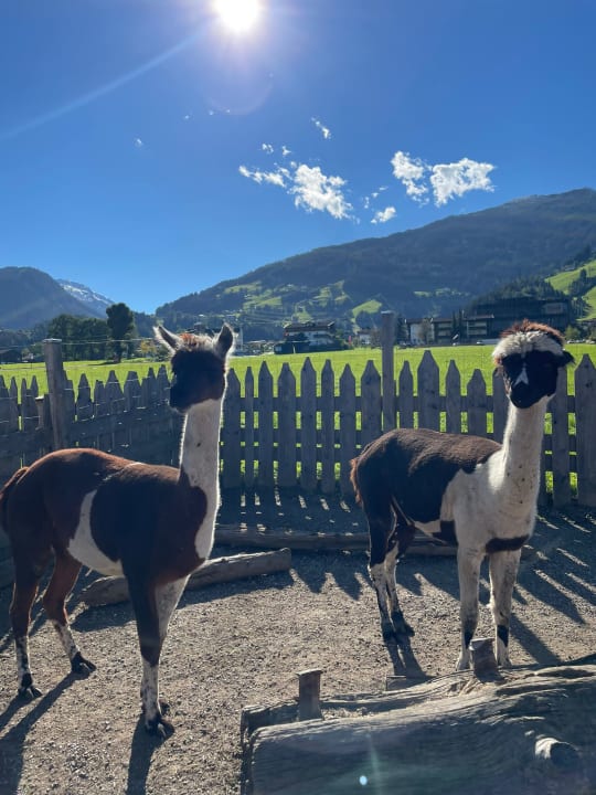 Sonstiges Mia Alpina . Zillertal Family Retreat