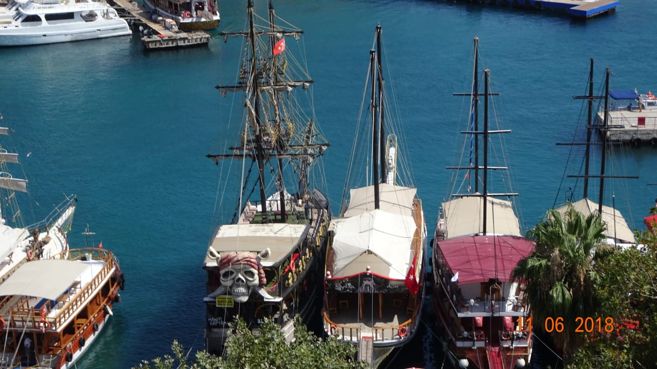 Aussicht genießen Papillon Belvil