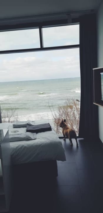 Małe pieski mile widziane Boulevard Ustronie Morskie by Zdrojowa