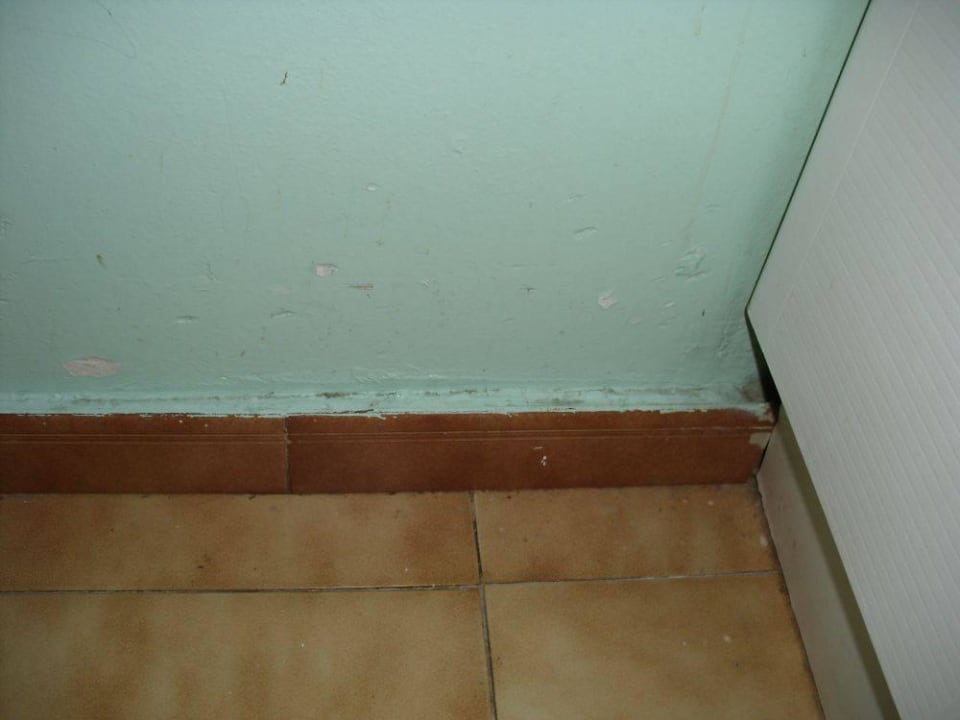 Schrottzimmer Servatur Alameda de Jandía