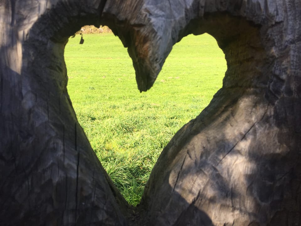 Sonstiges Alphotel Tyrol