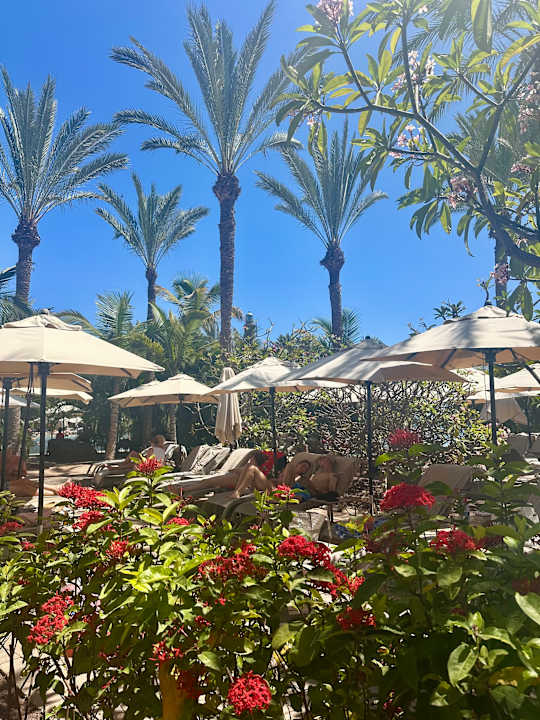 Gartenanlage Lopesan Costa Meloneras, Resort & Spa