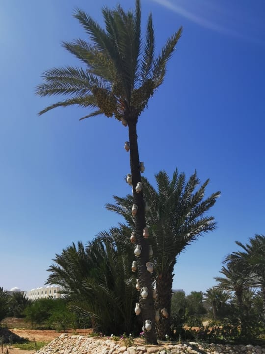 Außenansicht Iberostar Waves Mehari Djerba