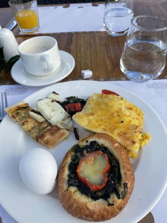 Gastro Papillon Belvil