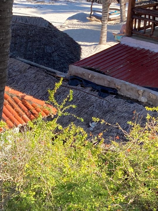 Sonstiges Diani Sea Resort