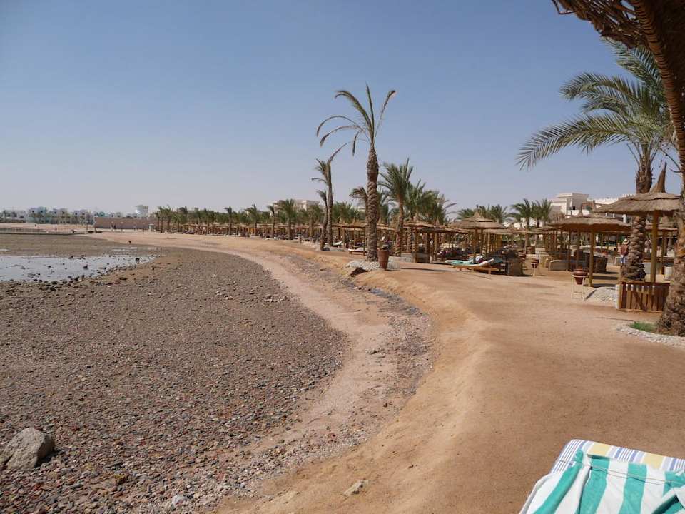 Steiniger Strand  Pickalbatros Palace Resort
