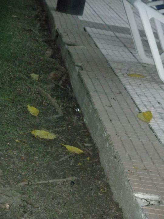 Gefahr am Pool Puerto Plata Village