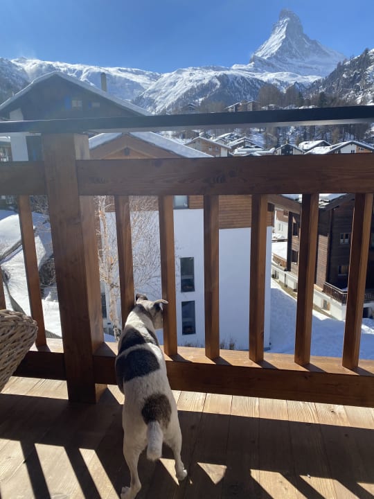 Ausblick Europe Hotel & Spa