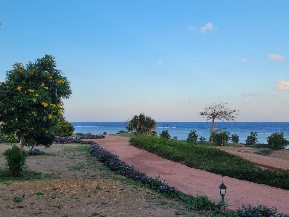 Gartenanlage Three Corners Equinox Beach Resort