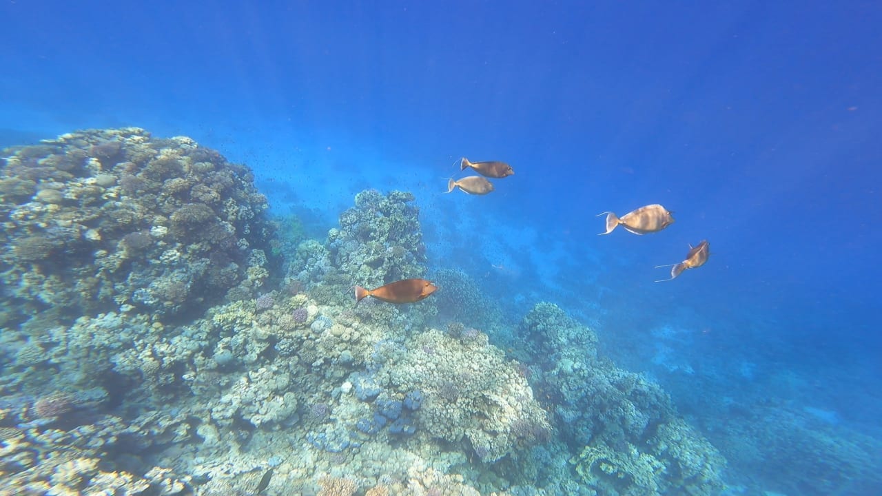 Sport & Freizeit Grand Makadi