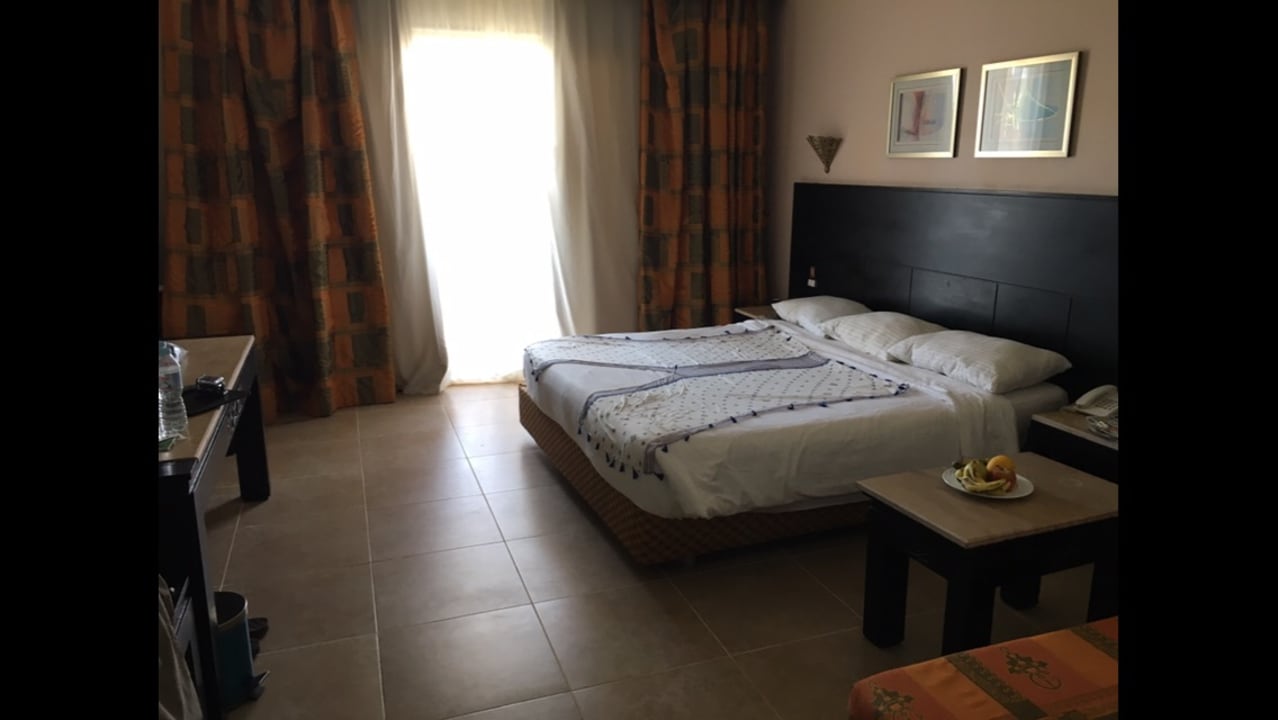Zimmer Pickalbatros Palace Resort