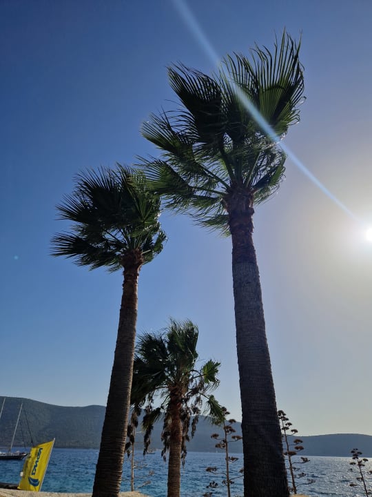 Außenansicht TUI MAGIC LIFE Bodrum - Adult Only (16+)