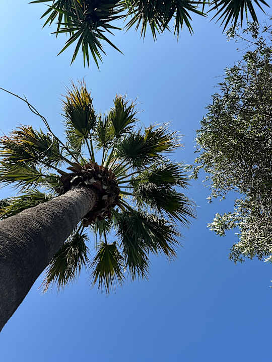 Gartenanlage TUI KIDS CLUB Alex Beach