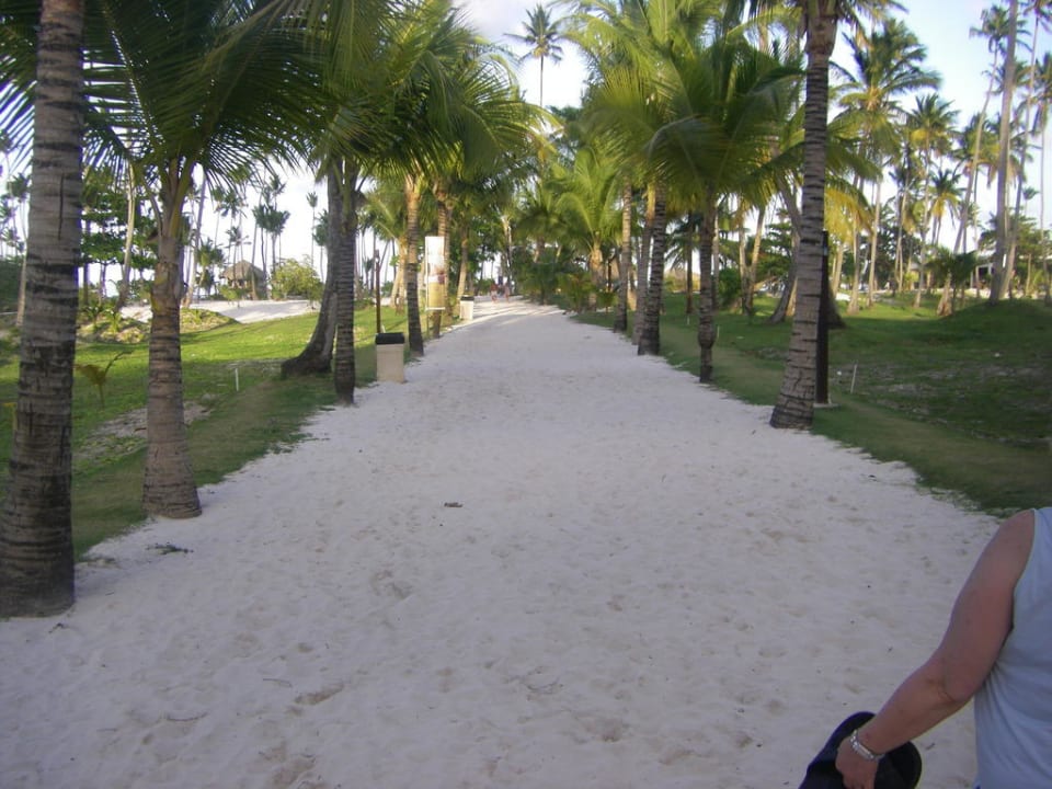 Weg zum Strand Villas Bavaro Resort & Spa