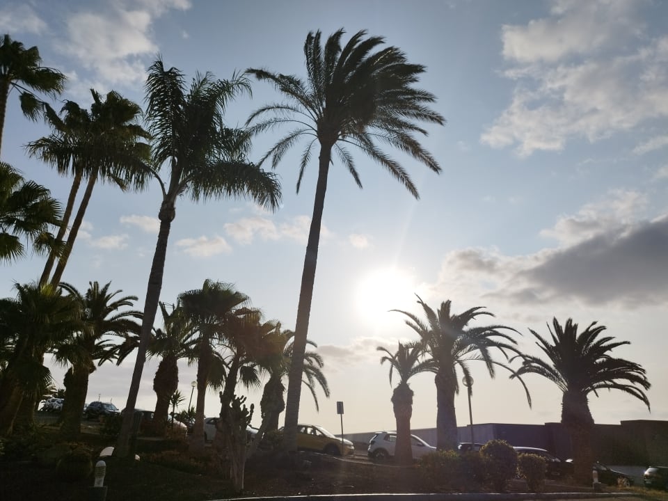 Ausblick allsun App.-Hotel Esquinzo Beach