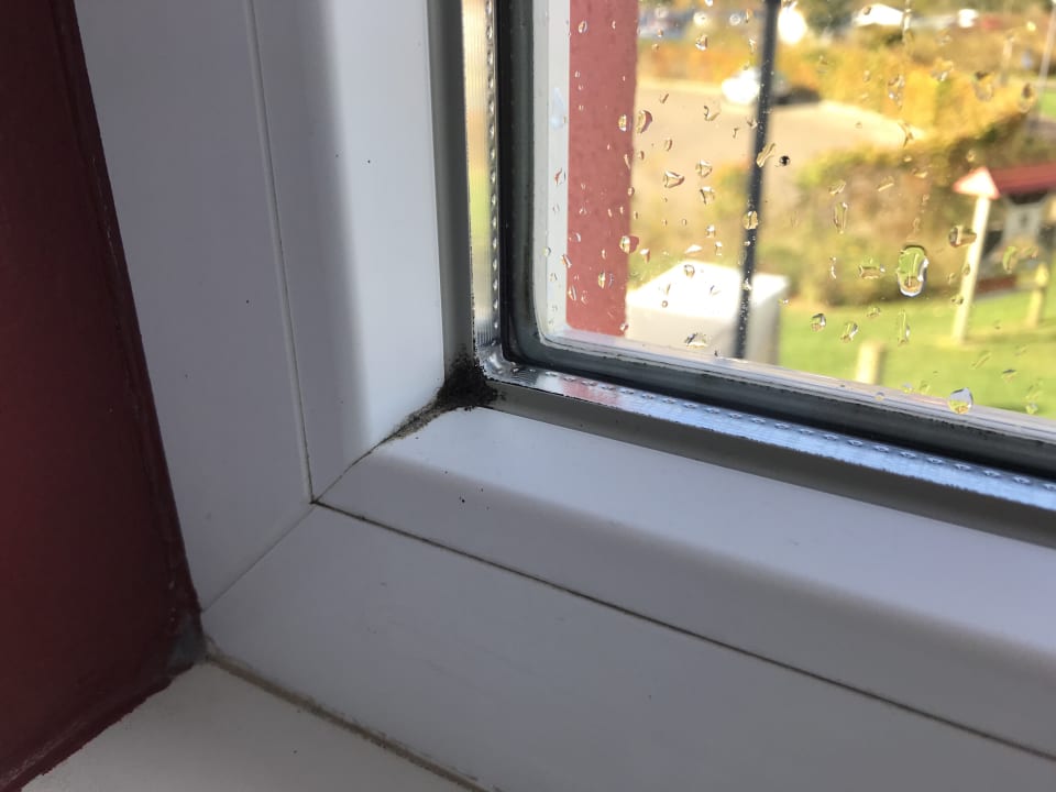 Zimmer BEECH Resort Boltenhagen