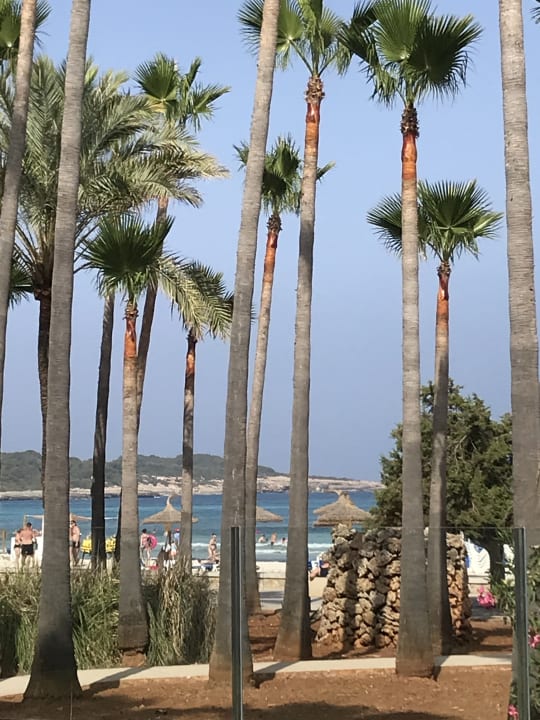 Ausblick Hipotels Mediterraneo Club