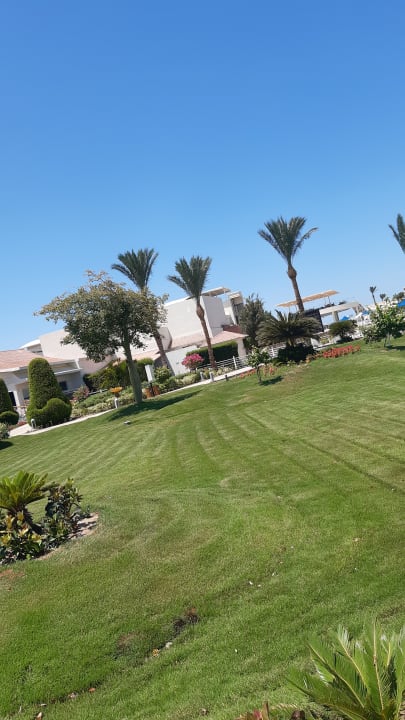 Gartenanlage Pickalbatros Dana Beach Resort - Hurghada