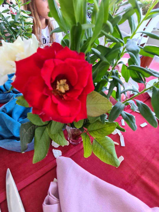 Sonstiges Dream World Aqua Hotel