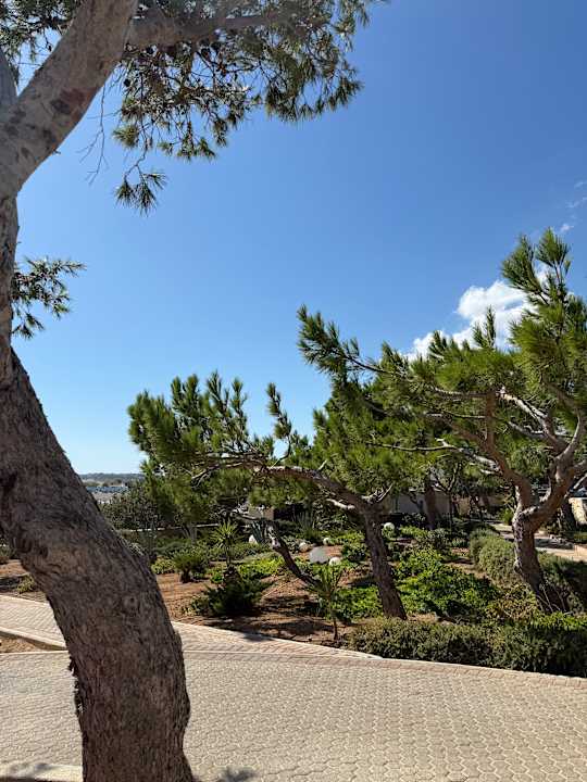 Gartenanlage Kakkos Beach Hotel