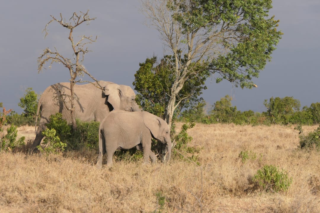 Sonstiges Sweetwaters Tented Camp