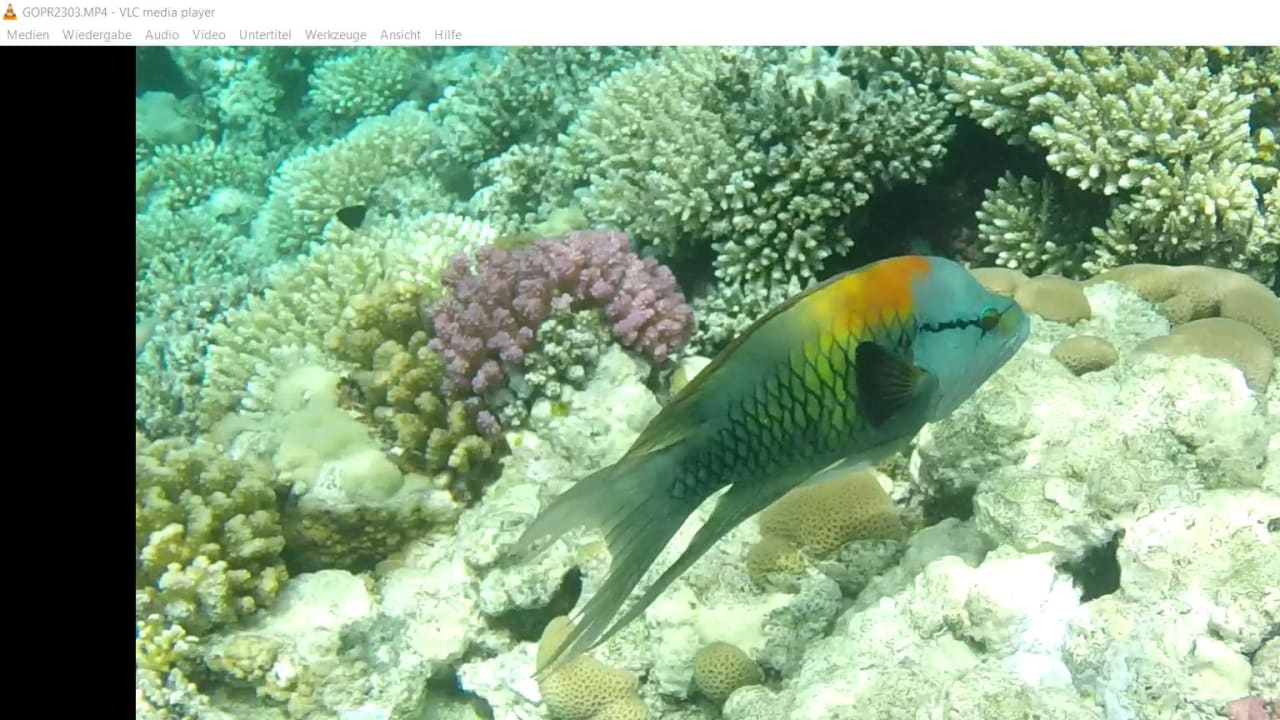 Strand Makadi Spa - Adults only