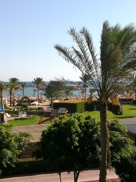 Außenansicht Desert Rose