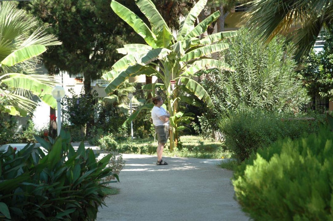 grüne Anlage Club Sidelya Hotel