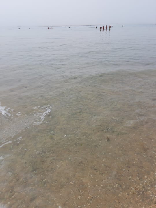 Strand Shams Prestige Abu Soma-Adults Only