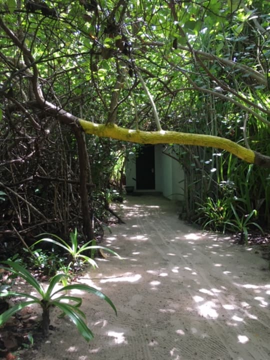 Gartenanlage NH Collection Maldives Havodda Resort