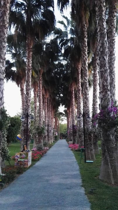 Auf dem Weg zum Strand Hotel Gardenia Beach