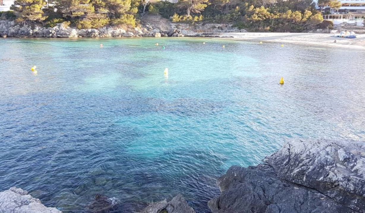 Ausblick Iberostar Waves Pinos Park