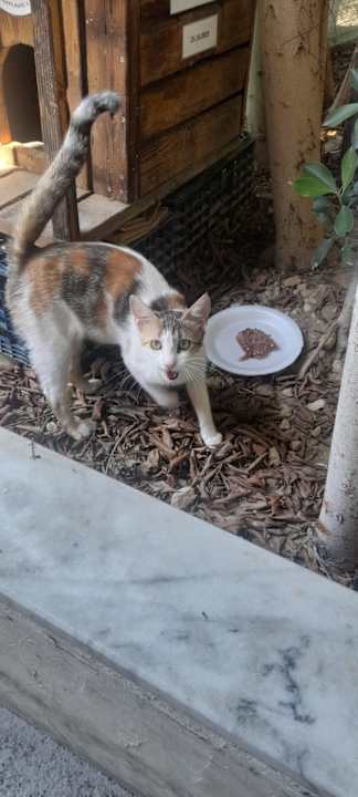 Sonstiges Mary Hotel Side