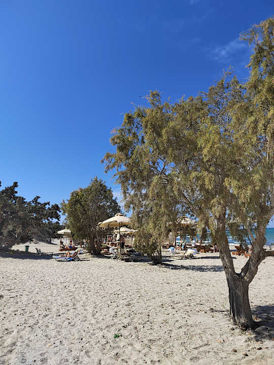 Strand Achilleas Beach Adults Only