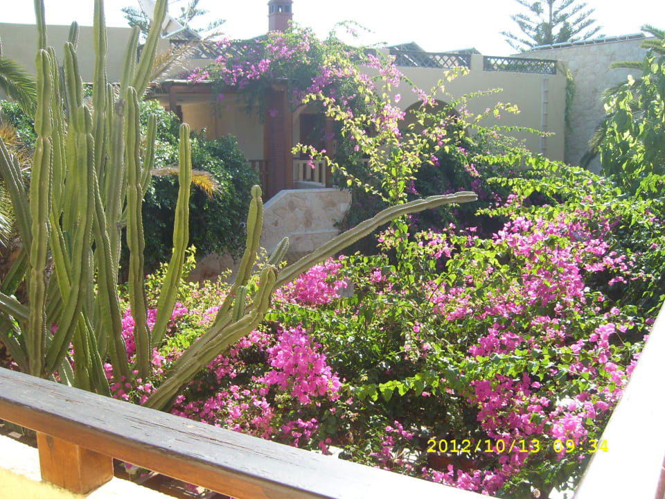 Blick vom Zimmer Cactus Beach