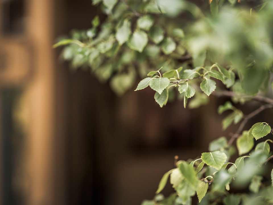 Außenansicht Apparthotel Landhaus Veronika