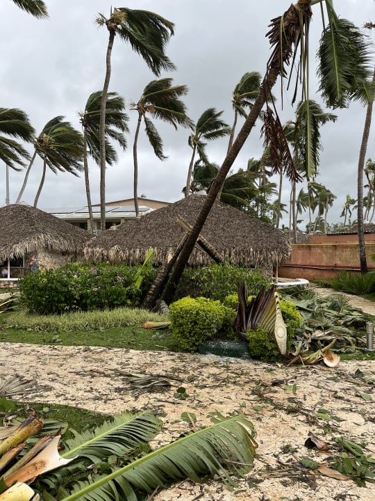 Gartenanlage Hotel Viva Dominicus Beach by Wyndham - All Inclusive Resort