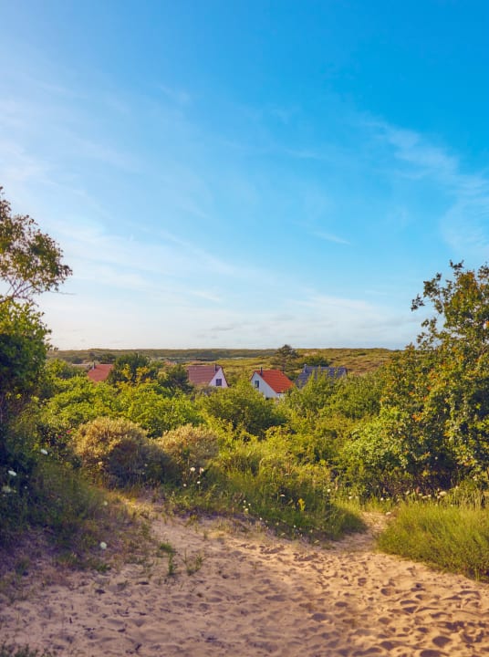 Außenansicht Center Parcs Park Zandvoort - Ferienhäuser