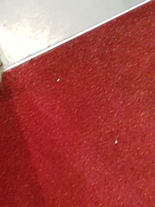 Zimmer Gasthaus zur Noll