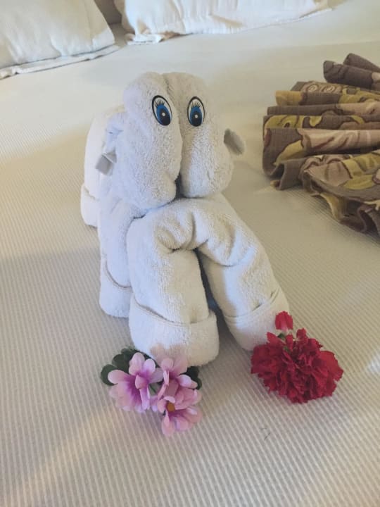 Zimmermädchens Kreation Catalonia Royal Tulum Beach & Spa Resort - Adults only